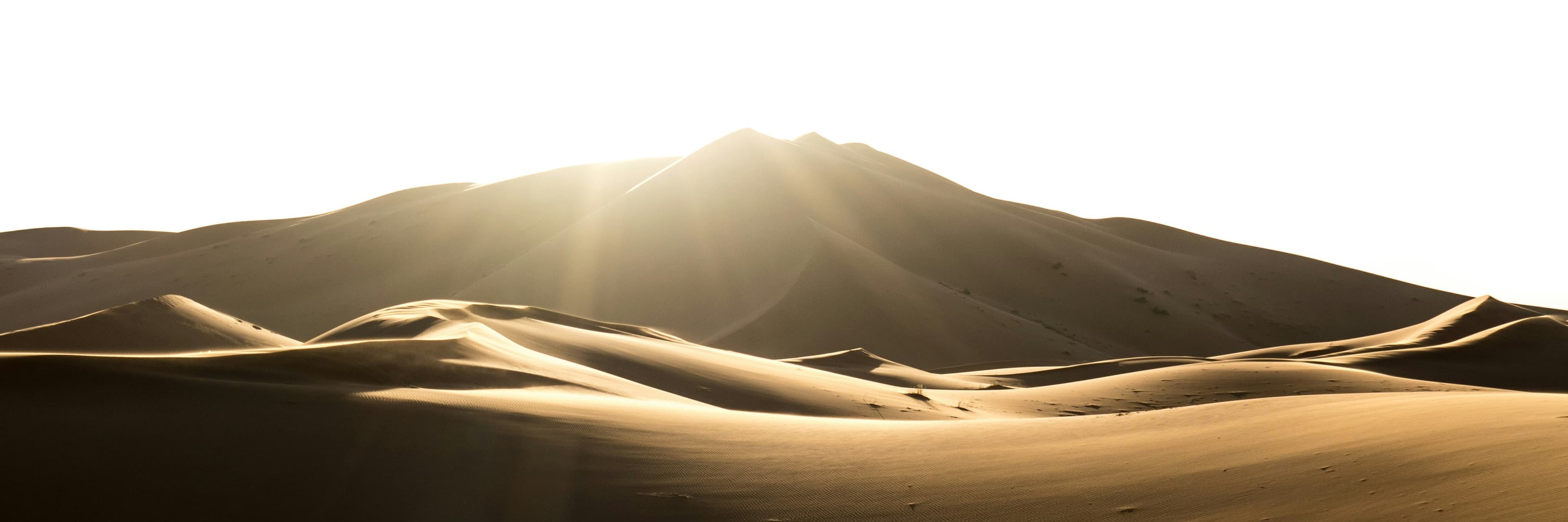 Desert Darkroom: Shoot Film in the Sahara